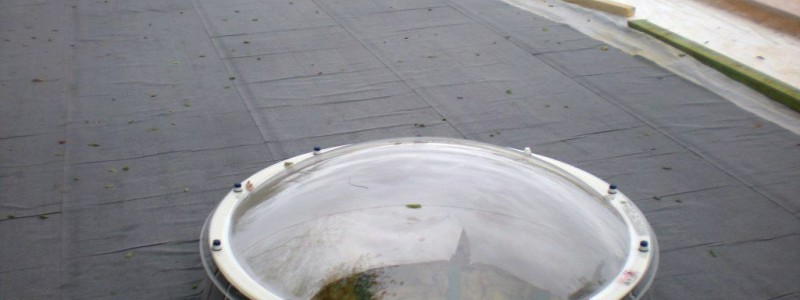 drevostavba-davle-006-800x300