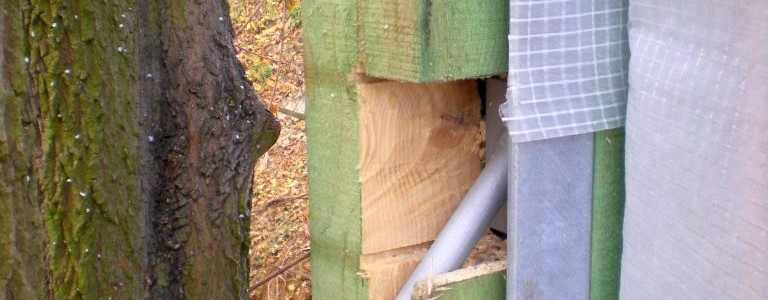 drevostavba-davle-011-768x300